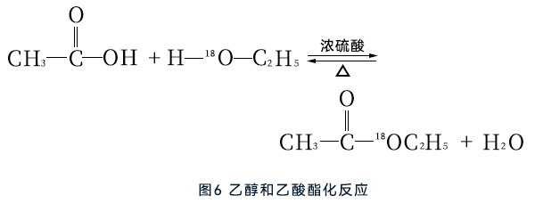 乙醇和乙酸酯化反應(yīng)